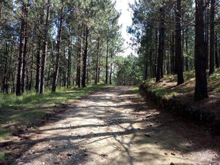 Foto 10 de EXCELENTE OPORTUNIDAD!! LIQUIDO LOTE CON ESCRITURA VILLA DEL CONDOR
