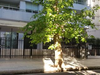 Foto 7 de Venta Departamento 2amb al frente Full Amenities en Villa Urquiza