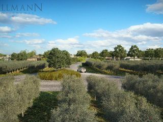Foto 6 de Lote en Venta La Laguna de Estancias