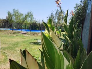 Foto 19 de Casa en venta - 2 Dormitorios 2 Baños - Cochera - 1.000Mts2 - San Rafael, Mendoza