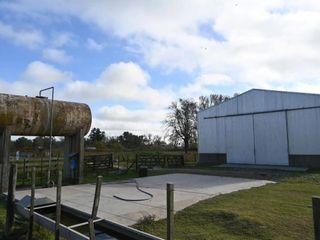 Foto 7 de FEEDLOT EN ALQUILER – RUTA 7 KM 87 – LUJAN