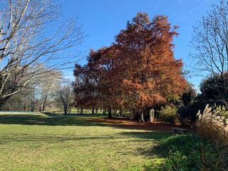 Foto 5 de Venta de terreno 1101m2  en Club de Campo San Francisco, Manzanares, Pilar