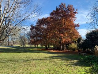 Foto 6 de Venta de terreno 1101m2  en Club de Campo San Francisco, Manzanares, Pilar
