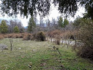 Foto 1 de Chacra en  Mallín Ahogado