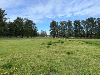 Foto 1 de REVENTA - LOTE Nº17 - ORIENTACIÓN OESTE