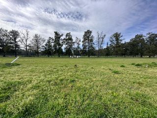 Foto 10 de REVENTA - LOTE Nº17 - ORIENTACIÓN OESTE