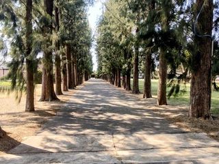 Foto 16 de Terreno en venta en La Otilia | VCO Propiedades