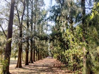 Foto 19 de Terreno en venta en La Otilia | VCO Propiedades