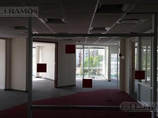 Foto 6 de Alquiler de oficina de 316 m2 en Puerto Madero