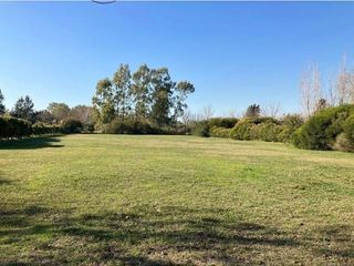 Foto 6 de Terreno en venta - 1.180mts2 - Haras Del Sur I
