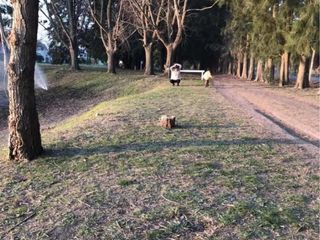 Foto 16 de Terreno en venta - 1.180mts2 - Haras Del Sur I