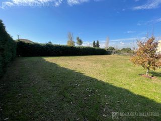Foto 2 de Terreno en venta en Ayres Plaza.