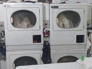 Foto 3 de Fondo de Comercio - LAVADERO y TINTORERÍA en Velez Sarsfield