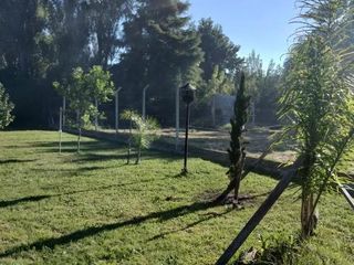 Foto 9 de Terreno en venta - 810Mts2 - Arturo Seguí, La Plata