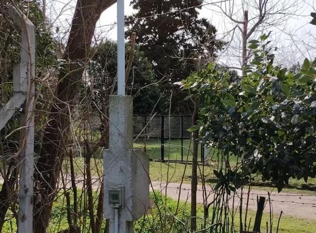 place photo 15