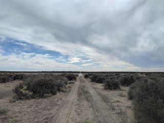 Foto 1 de VENTA DE CHACRA EN GENERAL ROCA
