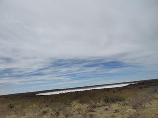 Foto 4 de VENTA DE CHACRA EN GENERAL ROCA