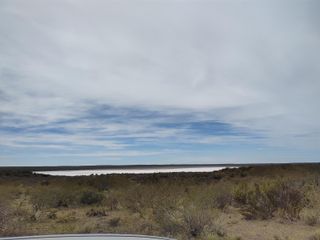 Foto 7 de VENTA DE CHACRA EN GENERAL ROCA