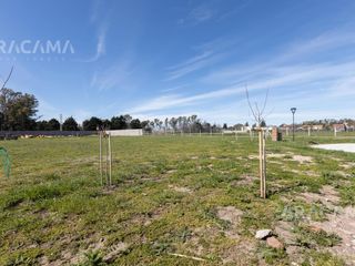 Foto 7 de LOTE en VENTA Barrio Privado Canning Chico
