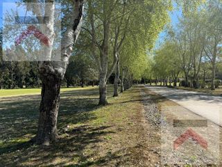 Foto 6 de Lote 1183m2 AL GOLF escriturado en Club de Campo Haras del Sur II La Plata Brandsen