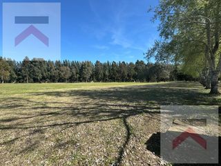 Foto 4 de Lote 1183m2 AL GOLF escriturado en Club de Campo Haras del Sur II La Plata Brandsen