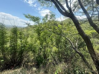 Foto 8 de ALQUILER SALON BIALET MASSE N 59 HECTAREAS DE INCR VEGETACION CON VISTA AL LAGO  A 1 KM RUTA E 55