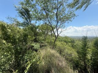 Foto 4 de ALQUILER SALON BIALET MASSE N 59 HECTAREAS DE INCR VEGETACION CON VISTA AL LAGO  A 1 KM RUTA E 55