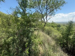 Foto 6 de ALQUILER SALON BIALET MASSE N 59 HECTAREAS DE INCR VEGETACION CON VISTA AL LAGO  A 1 KM RUTA E 55