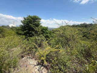 Foto 14 de ALQUILER SALON BIALET MASSE N 59 HECTAREAS DE INCR VEGETACION CON VISTA AL LAGO  A 1 KM RUTA E 55