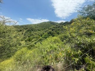 Foto 12 de ALQUILER SALON BIALET MASSE N 59 HECTAREAS DE INCR VEGETACION CON VISTA AL LAGO  A 1 KM RUTA E 55
