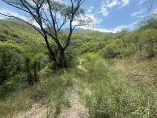 Foto 18 de ALQUILER SALON BIALET MASSE N 59 HECTAREAS DE INCR VEGETACION CON VISTA AL LAGO  A 1 KM RUTA E 55