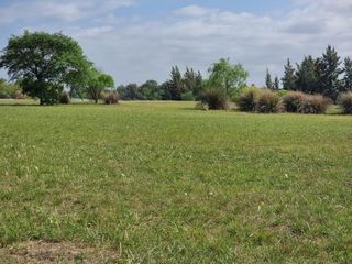 Foto 6 de Lote de 1500m2 en Venta  - Medal Country club - Barrio Cerrado Pilar