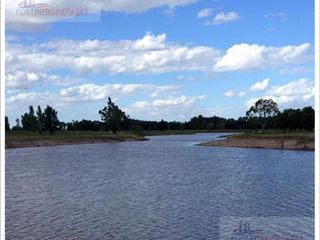 Foto 2 de Terreno - La Plata