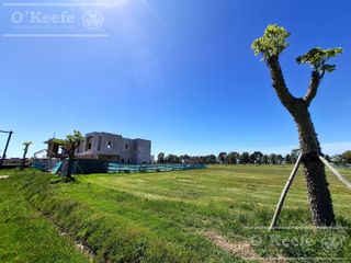 Foto 9 de Lote Central en venta de 1000, 75 mts en Puerto Nizuc - Posesión Inmediata -  Guillermo Hudson