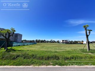 Foto 6 de Lote Central en venta de 1000, 75 mts en Puerto Nizuc - Posesión Inmediata -  Guillermo Hudson