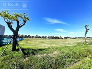 Foto 1 de Lote Central en venta de 1000, 75 mts en Puerto Nizuc - Posesión Inmediata -  Guillermo Hudson