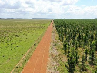 Foto 7 de Se Vende Campo Ganadero de 505 Ha en Virasoro, Corrientes