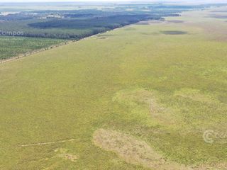 Foto 4 de Se Vende Campo Ganadero de 505 Ha en Virasoro, Corrientes