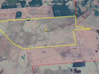 Foto 9 de Se Vende Campo Ganadero de 505 Ha en Virasoro, Corrientes