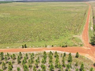 Foto 6 de Se Vende Campo Ganadero de 505 Ha en Virasoro, Corrientes