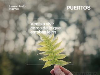 Foto 4 de NATIVAS - Puertos del Lago
