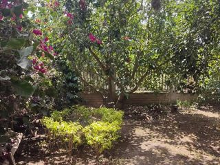 Foto 6 de Venta Quinta Guayllabamba con árboles frutales