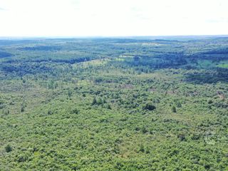 Foto 6 de Se vende Chacra en Roca Chica 71 ha, Todo monte nativo con Arroyo