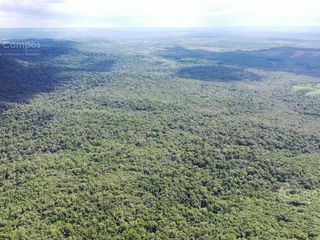 Foto 8 de Se vende Chacra en Roca Chica 71 ha, Todo monte nativo con Arroyo