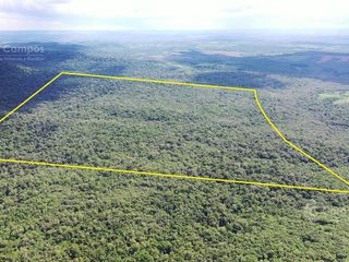 Foto 1 de Se vende Chacra en Roca Chica 71 ha, Todo monte nativo con Arroyo