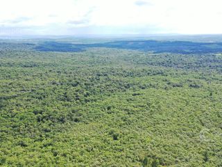 Foto 5 de Se vende Chacra en Roca Chica 71 ha, Todo monte nativo con Arroyo