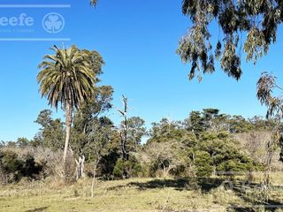 Foto 14 de Lote en venta en Aires de Hudson, etapa 2. Con financiación. Hudson