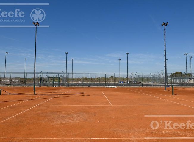 place photo 23