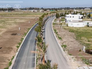 Foto 13 de Lote en venta en Puerto Nizuc - Oportunidad de inversión en Guillermo Hudson