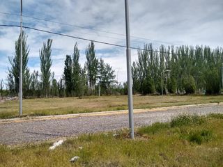Foto 2 de Terreno en  AYRES DEL LIMAY